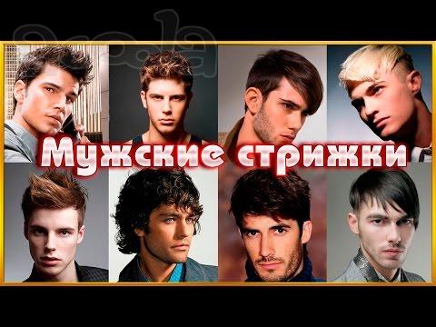 Стрижки, прически, мужские и женские